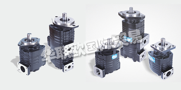 印度VELJAN主要產(chǎn)品：VELJAN齒輪泵、液壓閥等。VELJAN HYDRAIR LIMITED成立于1965年，是印度FLUID POWER公司的先驅(qū)，也是其獨(dú)立的領(lǐng)導(dǎo)者。