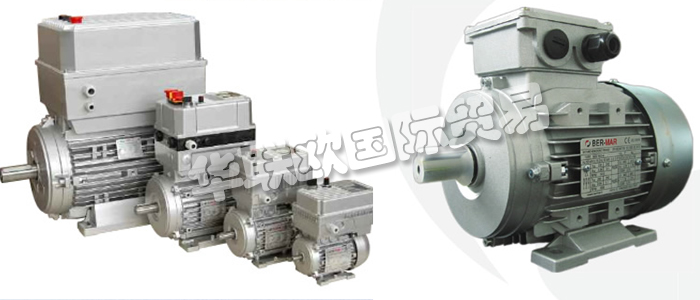意大利BERMAR公司的主要產(chǎn)品包括：意大利BERMAR電機、BERMAR電動機、異步電機、異步電動機、永磁發(fā)動機、逆變器、伺服通風(fēng)電動機、伺服電動機、工業(yè)洗衣機電動機、單相電動機、DRIVEJET鼓風(fēng)機、高效電機、泵、風(fēng)扇、工業(yè)壓縮機。