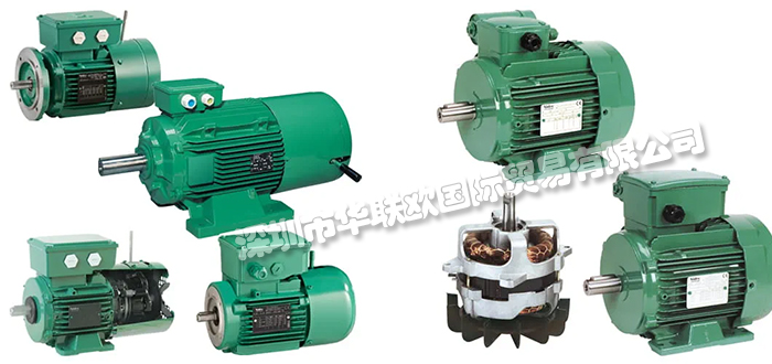 法國利萊森瑪LEROY-SOMER電機/電動機產(chǎn)品詳情